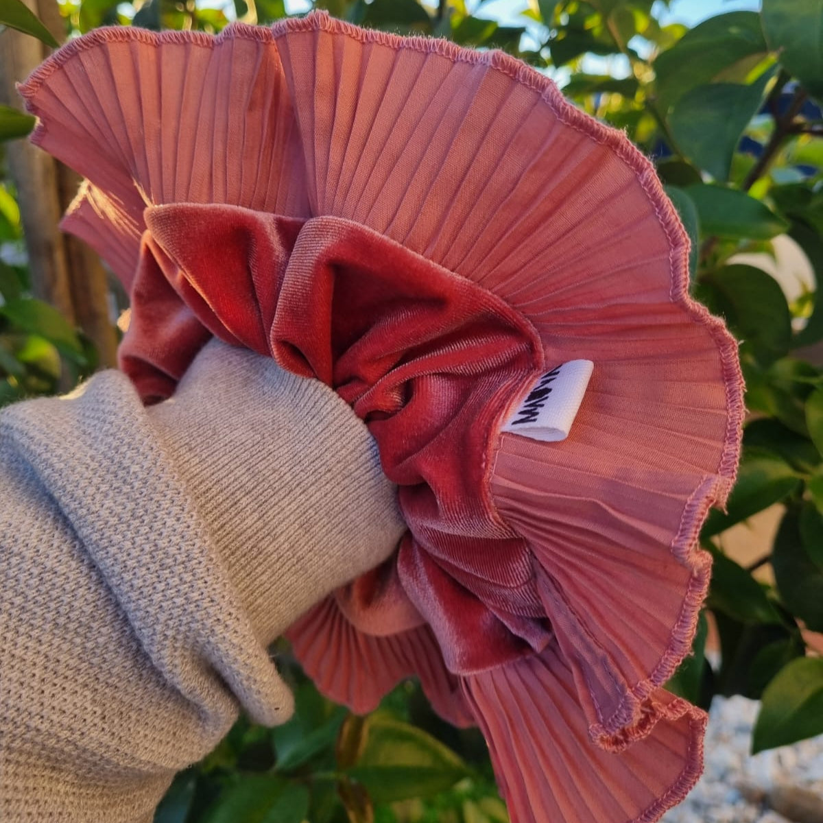 Bamba palo rosa terciopelo